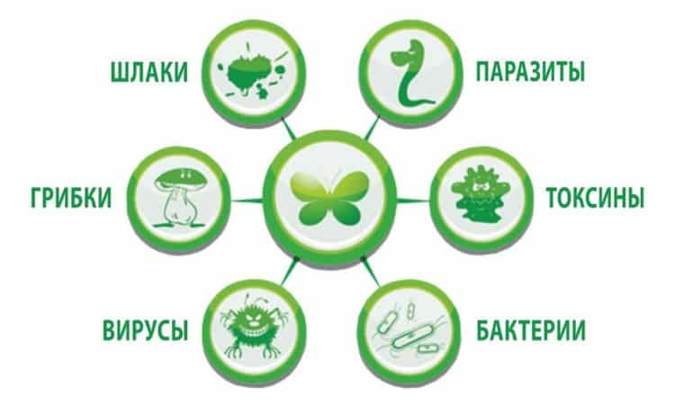 Выведение шлаков и токсинов с помощью кефира и йогурта